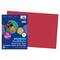 SunWorks® Construction Paper, 12" x 18", 5ct.